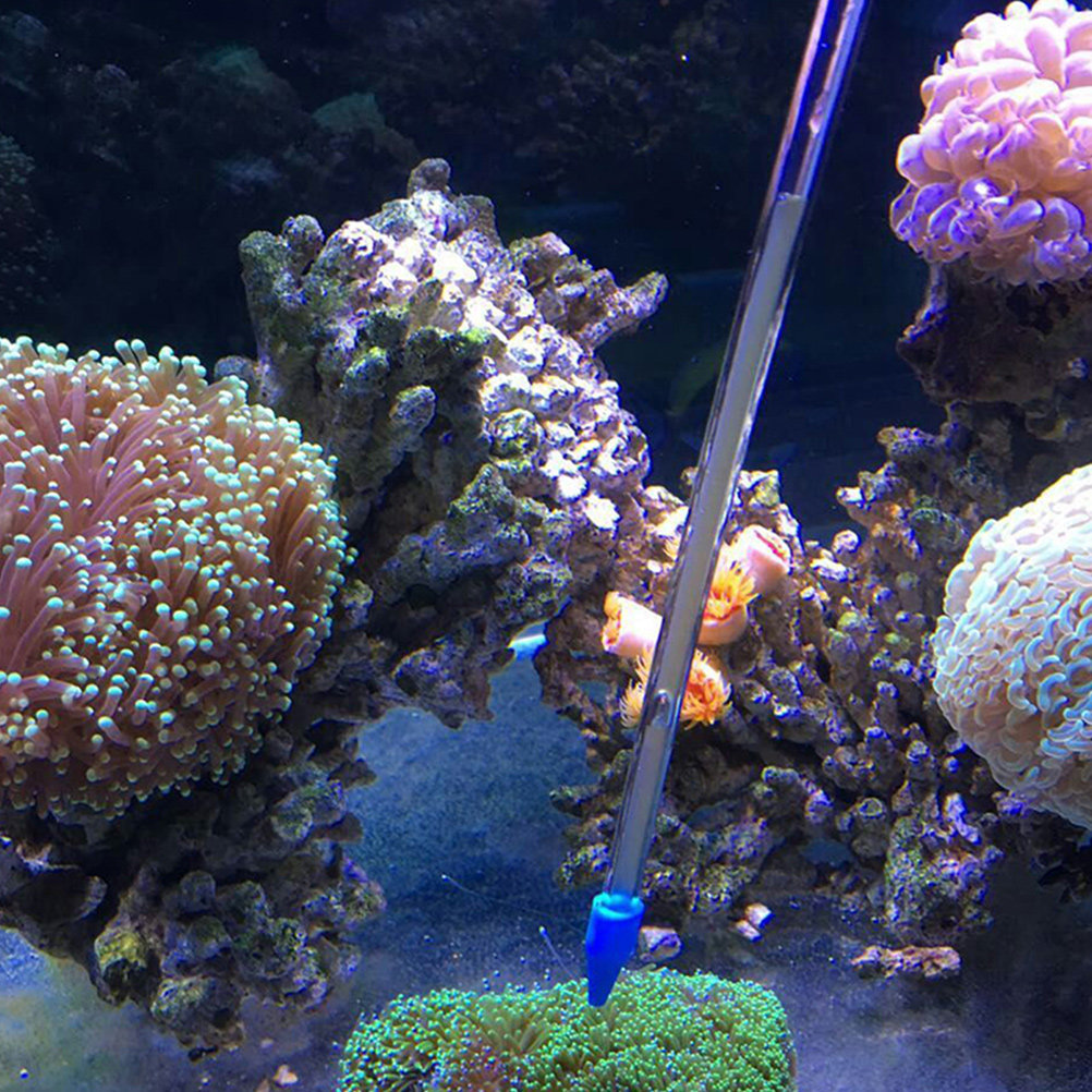 Coral Food Liquid - Tubo Alimentador de Coral para Acuario,