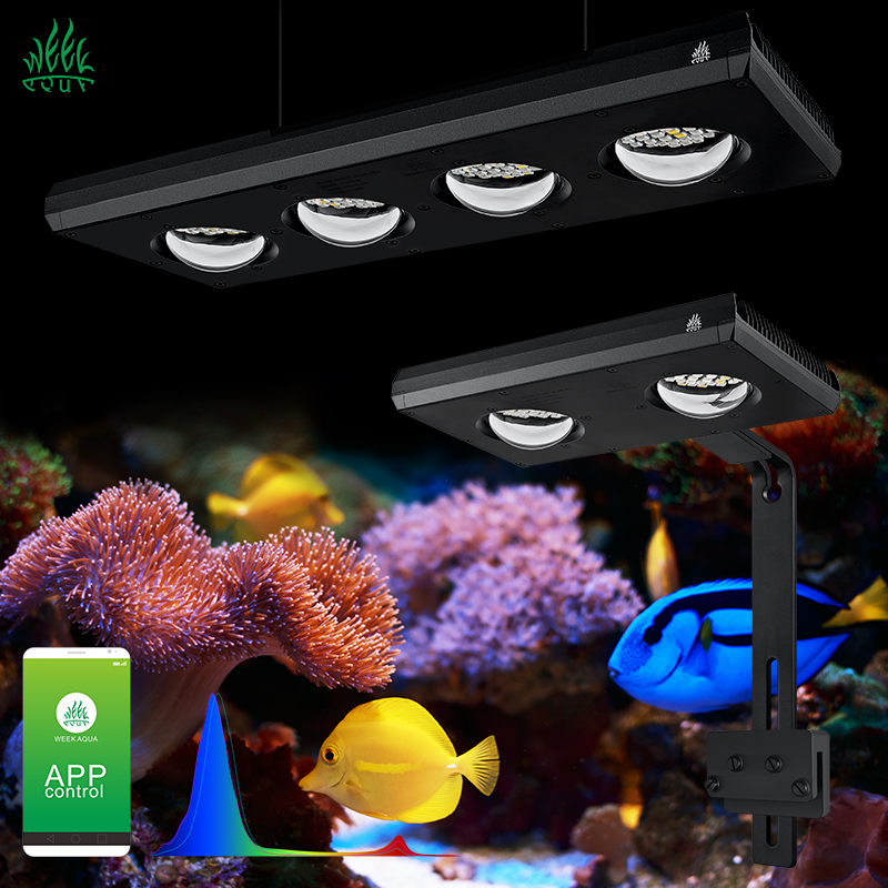 Aquarium Marine Blue - ZXY gran oferta WEEKAQUA Z250 Z400sea