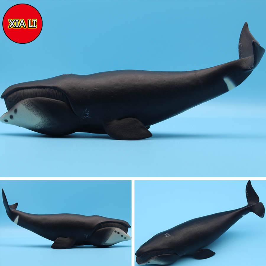 Figuras de Acción de Animales  - Aquarium Marine Blue reseña y precio