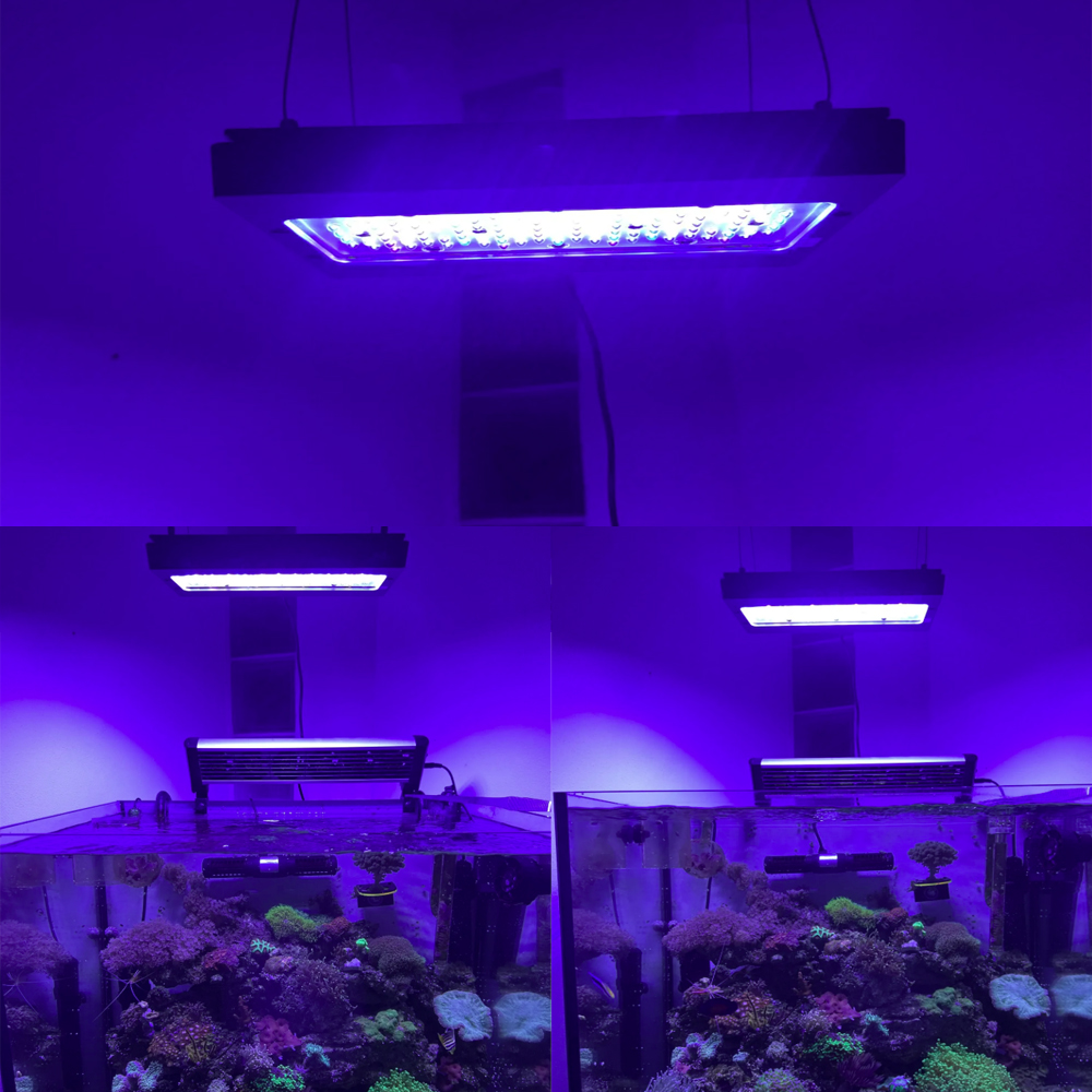 Luz LED para acuario marino A8 - Aquarium Marine Blue reseña y precio