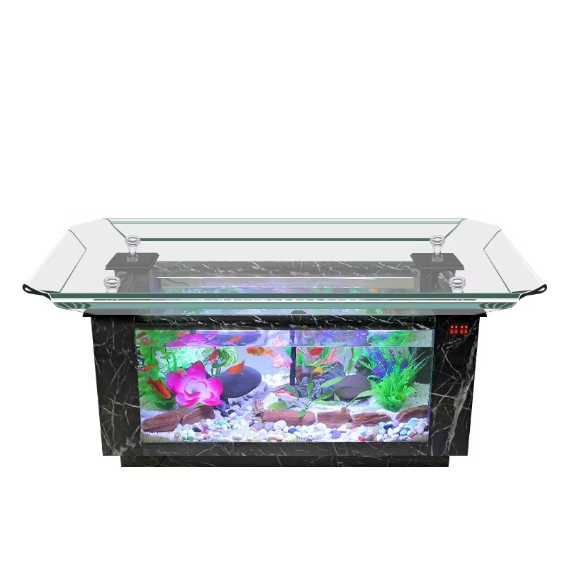 Precio de Acuario Marino 2026  - Marine Aquarium Fish Price reseña y precio