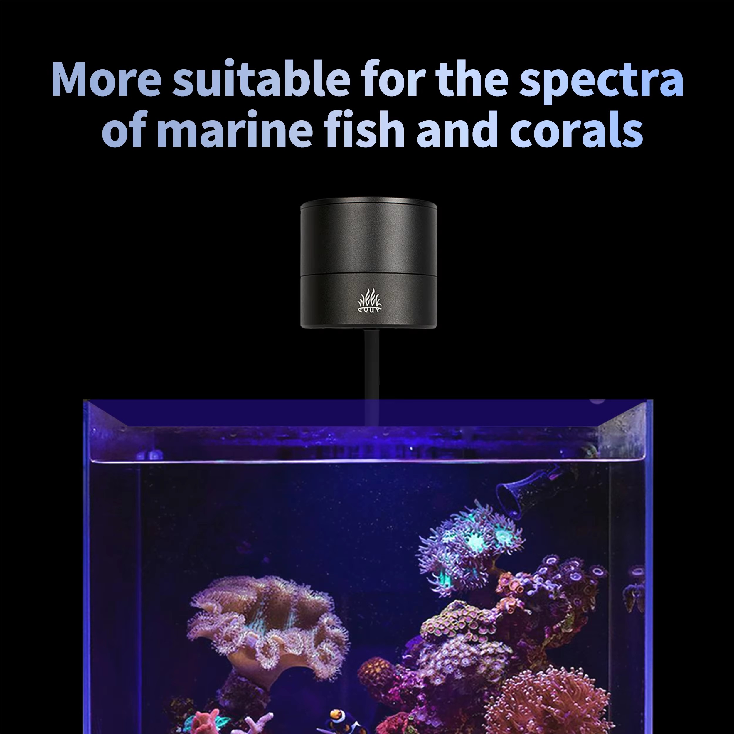 WEEK AQUA Fabricantes de Lámpa - Aquarium Marine Blue reseña y precio