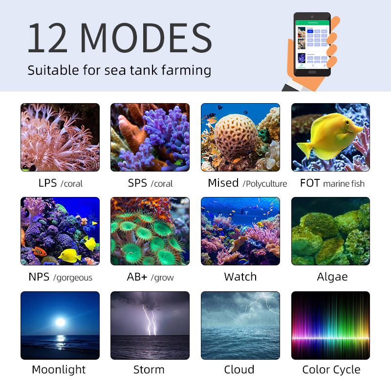 ZXY gran oferta WEEKAQUA Z250  - Aquarium Marine Blue reseña y precio