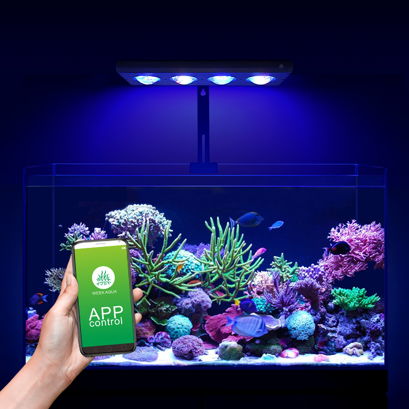 ZXY gran oferta WEEKAQUA Z250  - Aquarium Marine Blue reseña y precio