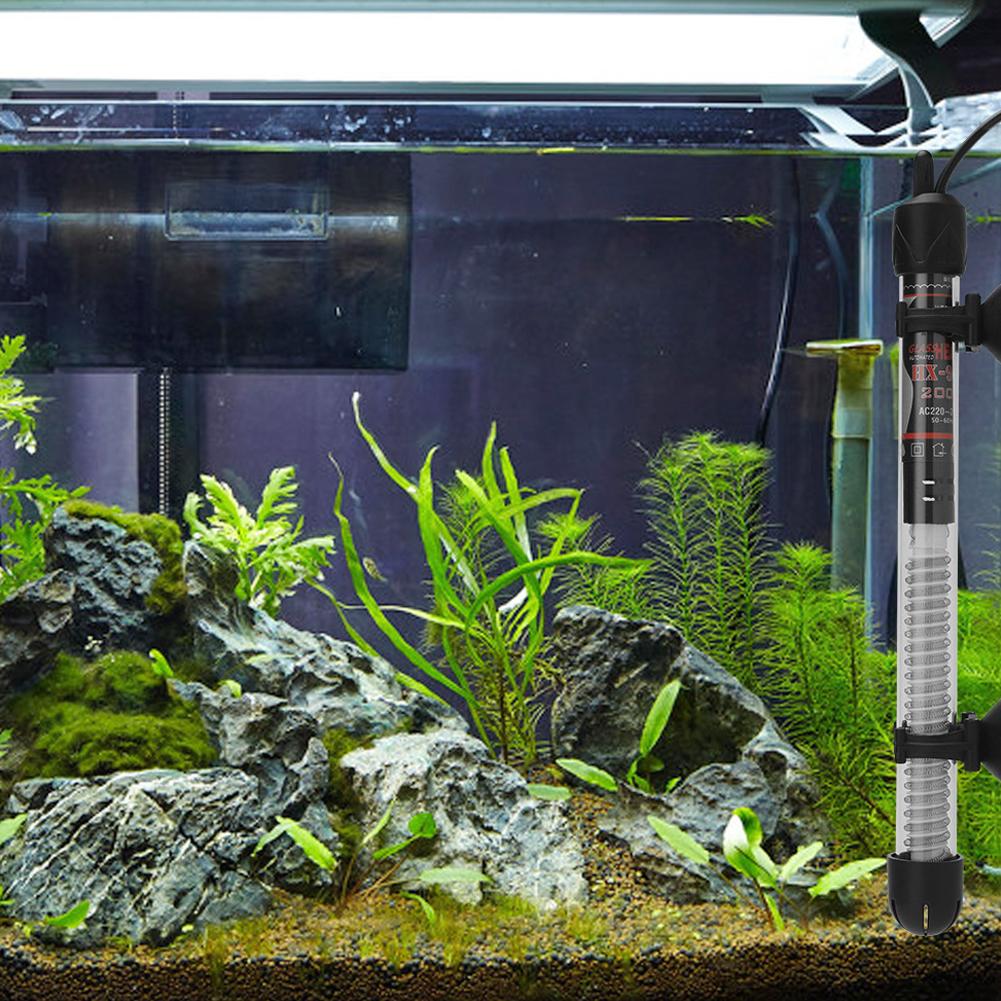 Calentador de Acuario Ajustabl - Marine Aquarium Heater reseña y precio