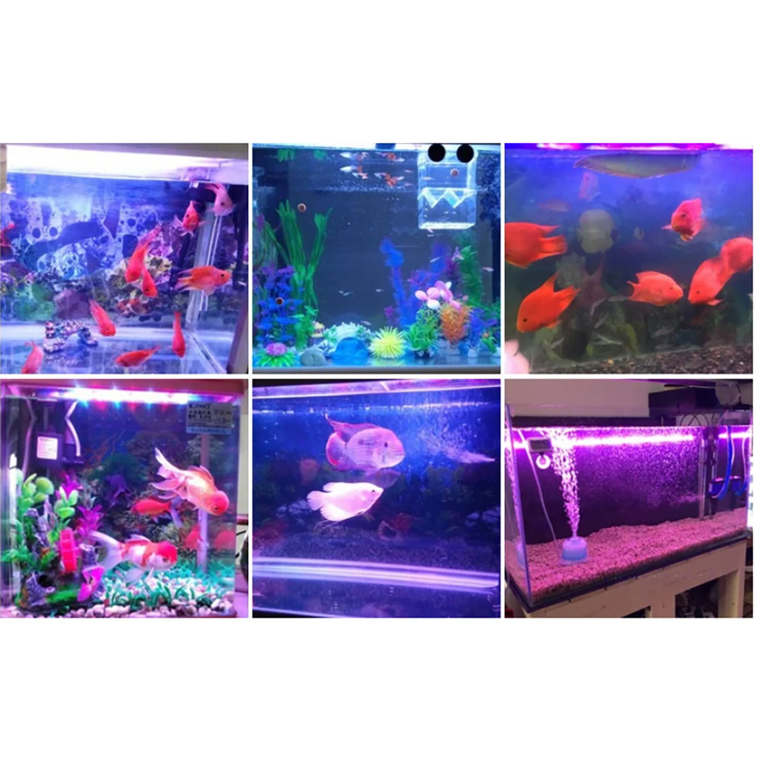 Iluminación LED para Acuarios  - Aquarium Marine Blue reseña y precio