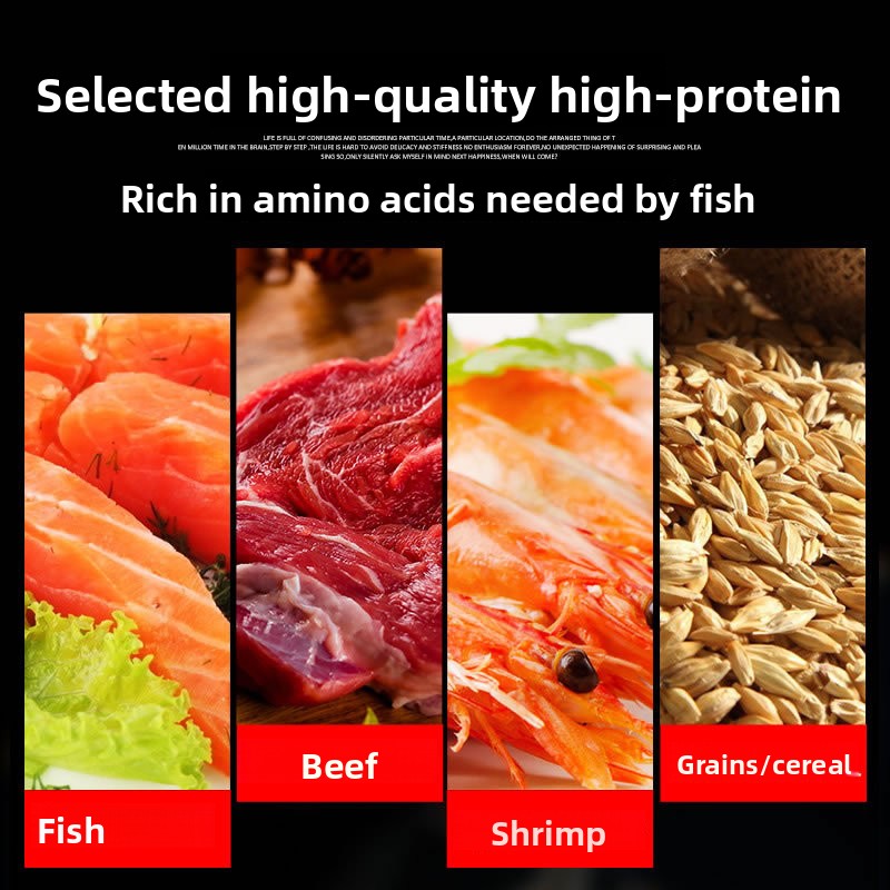 Alimento para Peces Ornamental - Marine Aquarium Heater reseña y precio