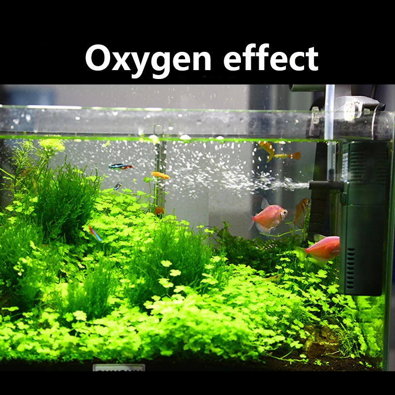 SUNSUN-bomba sumergible de oxí - Marine Aquarium Heater reseña y precio